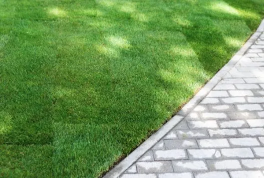 Local yard cleanup service with custom design across Kansas City, MO - Wame Lawncare