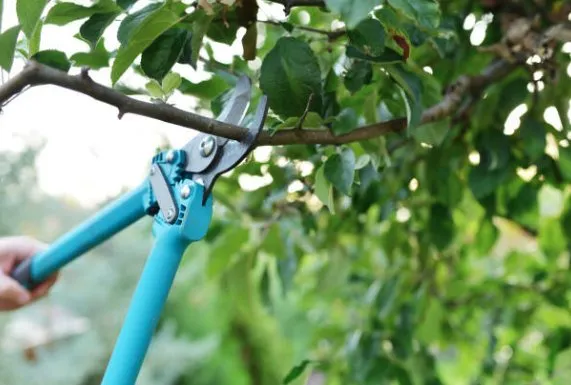 Trusted outdoor landscaping for homes across Kansas City, MO - Wame Lawncare