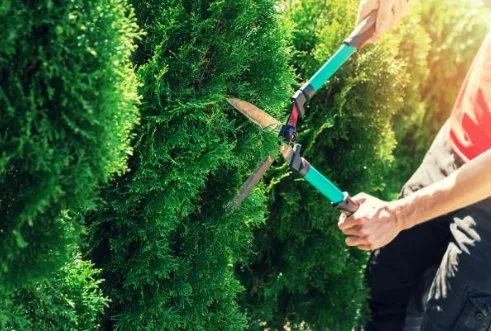 Custom landscape installation for beautiful yards in Kansas City, MO by Wame Lawncare