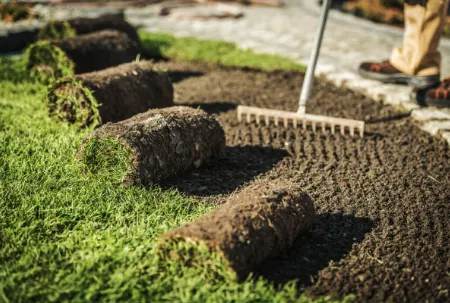 Affordable yard cleanup service in Kansas City, MO by Wame Lawncare