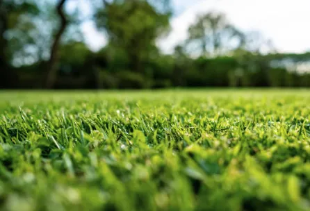 Affordable landscape installation in Kansas City, MO - Wame Lawncare