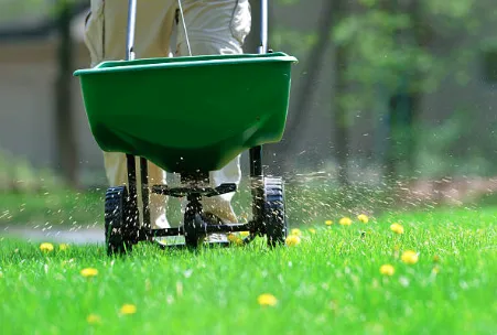 Professional landscape design for year-round maintenance across Kansas City, MO - Wame Lawncare