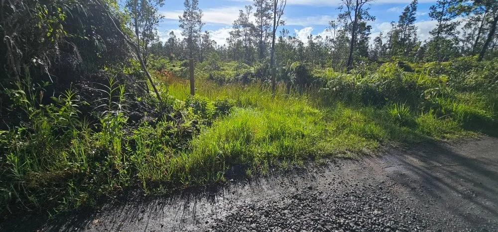 Custom landscape design for beautiful yards across Hilo, HI - Wana Bros
