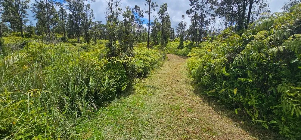 Reliable outdoor landscaping for beautiful yards across Hilo, HI - Wana Bros