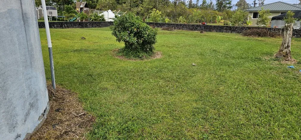 Professional yard maintenance experts serving Hilo, HI - Wana Bros