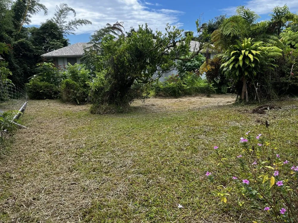 Trusted landscaping services in Hilo, HI - Wana Bros