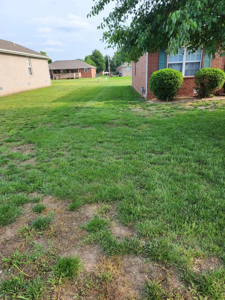 Affordable yard maintenance in Springfield, MO - Wands And Lawns