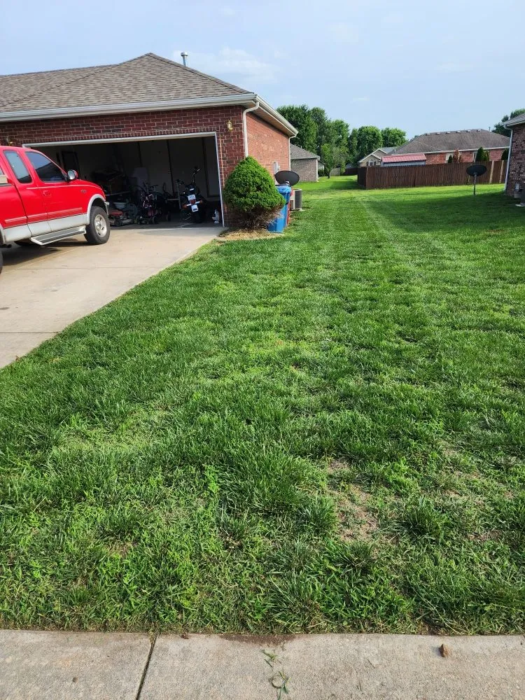 Local yard cleanup service experts serving Springfield, MO - Wands And Lawns