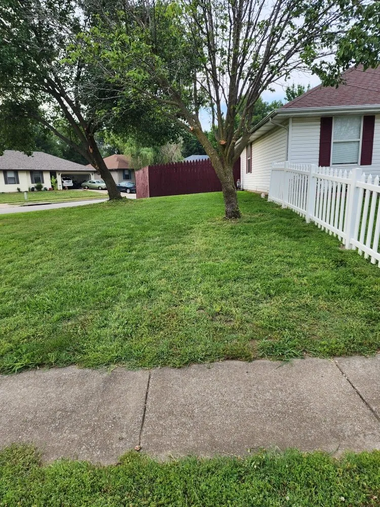 Local yard cleanup service in Springfield, MO - Wands And Lawns