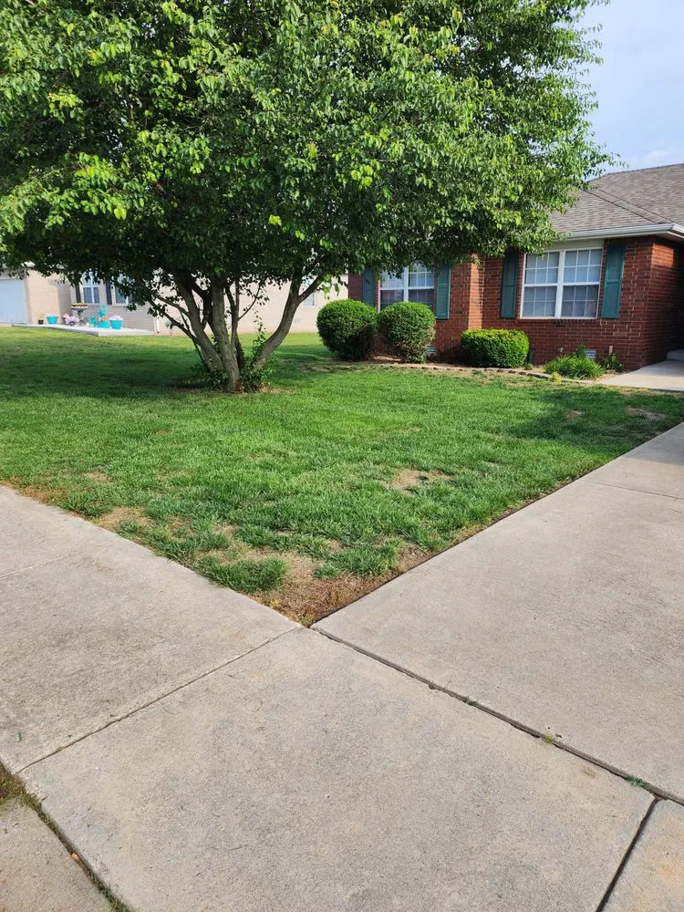 Reliable garden landscaping in Springfield, MO - Wands And Lawns