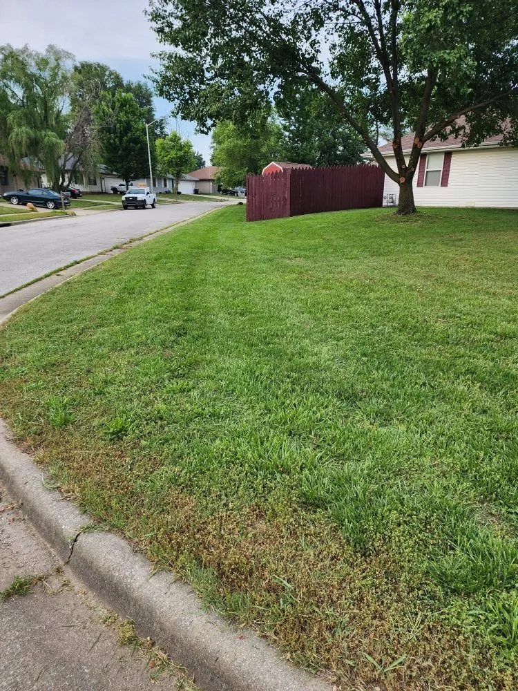 Trusted garden landscaping in Springfield, MO by Wands And Lawns