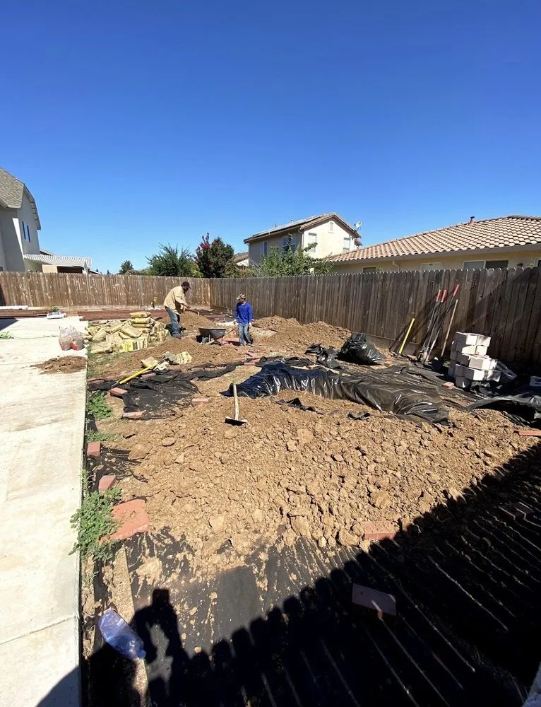 Professional yard cleanup service for year-round maintenance in Sunnyvale, CA by Wang's Landscaping