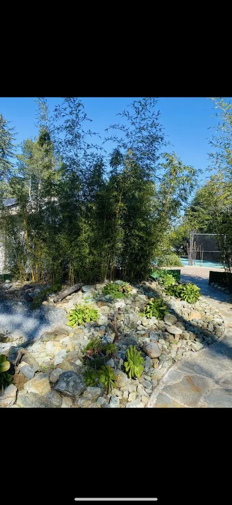 Custom outdoor landscaping for beautiful yards across Sunnyvale, CA - Wang's Landscaping