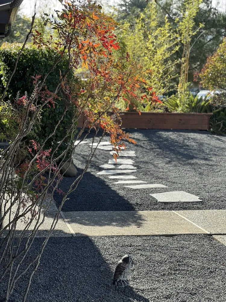 Custom lawn mowing service in Sunnyvale, CA by Wang's Landscaping