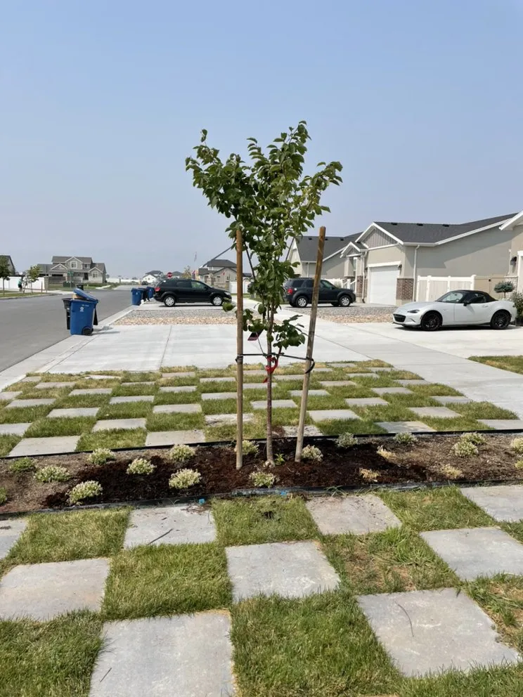 Reliable lawn mowing service experts serving Tooele, UT - Wanner Lawns Care Services