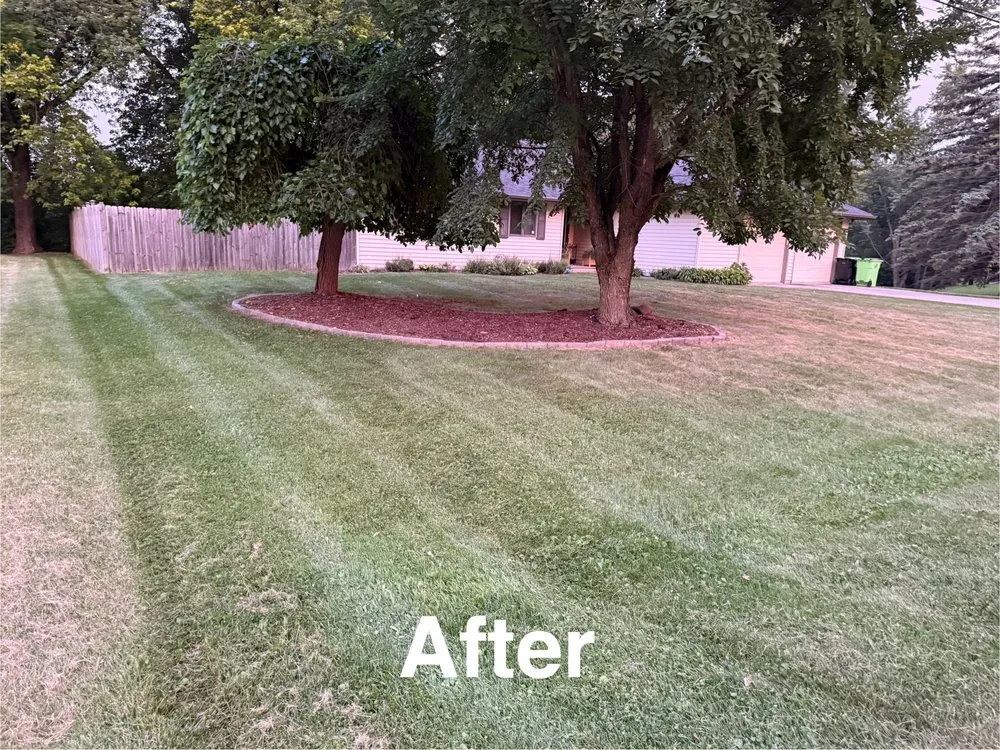 Reliable yard maintenance for homes across Kaukauna, WI - Wanty Lawn