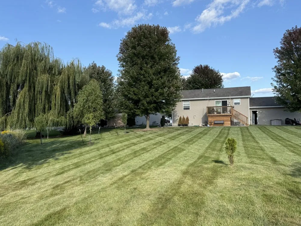 Expert lawn care service experts serving Kaukauna, WI - Wanty Lawn