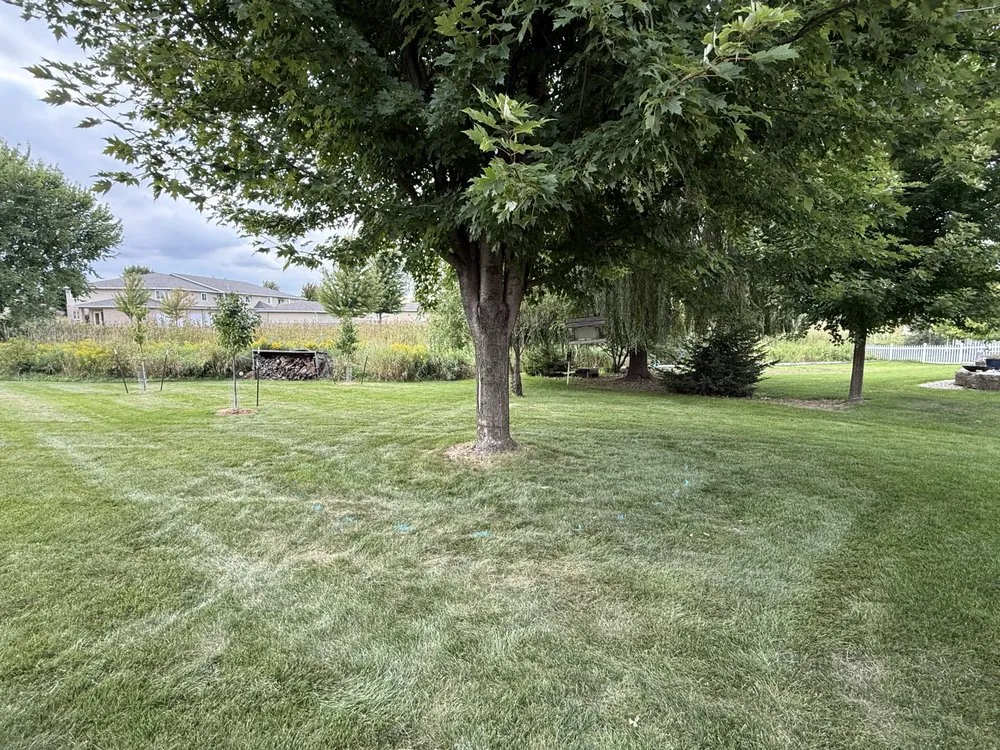 Trusted yard maintenance for outdoor upgrades in Kaukauna, WI by Wanty Lawn