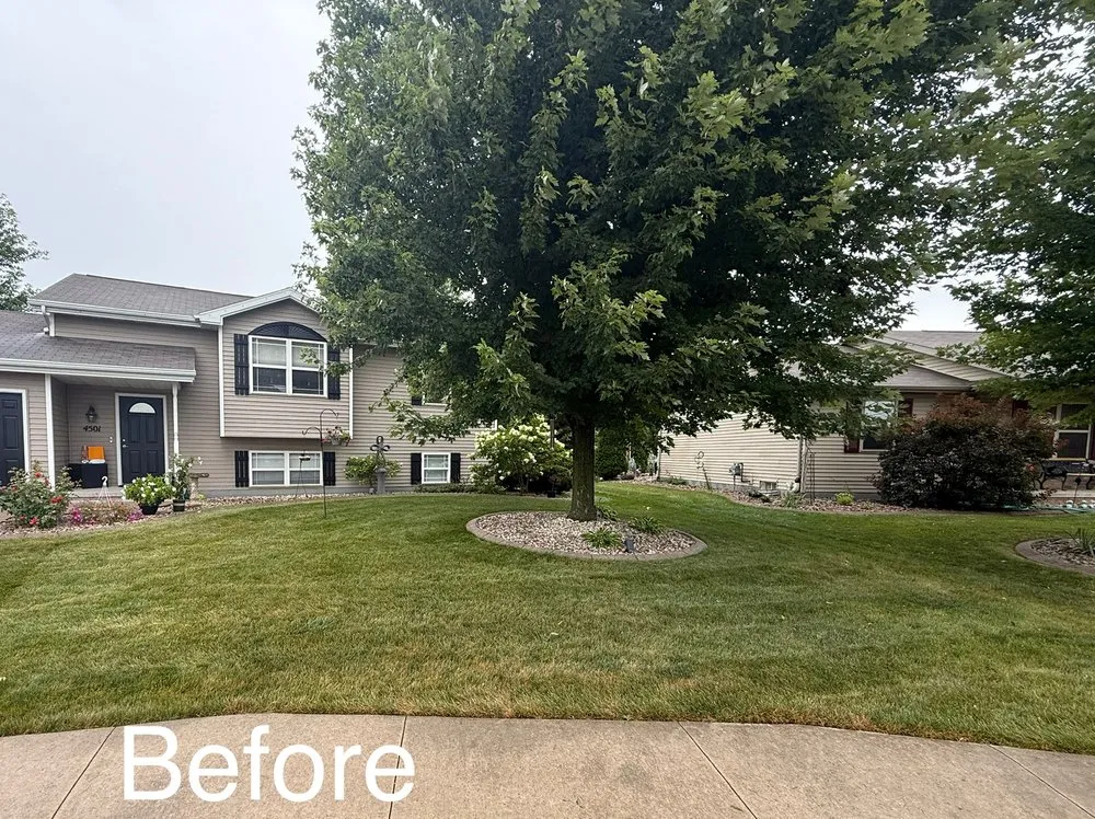 Trusted yard cleanup service in Kaukauna, WI - Wanty Lawn