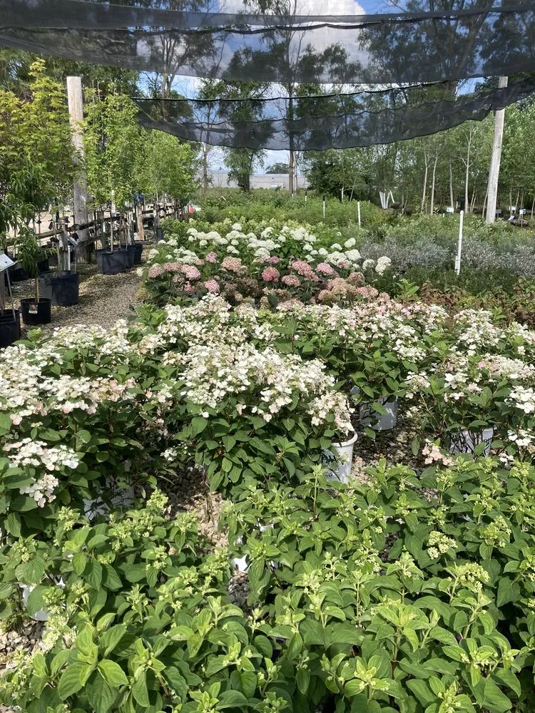 Custom yard cleanup service experts serving Cedar Falls, IA - Wapsie Pines Lawncare & Landscaping