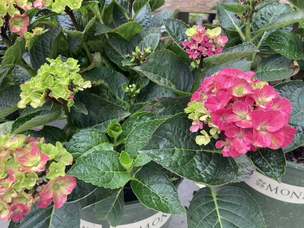 Trusted outdoor landscaping experts serving Cedar Falls, IA - Wapsie Pines Lawncare & Landscaping