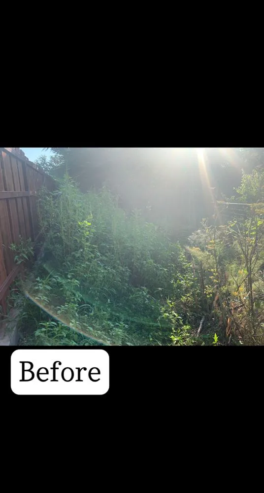 Expert residential landscaping with custom design across Early, TX - War Horse Lawn Service