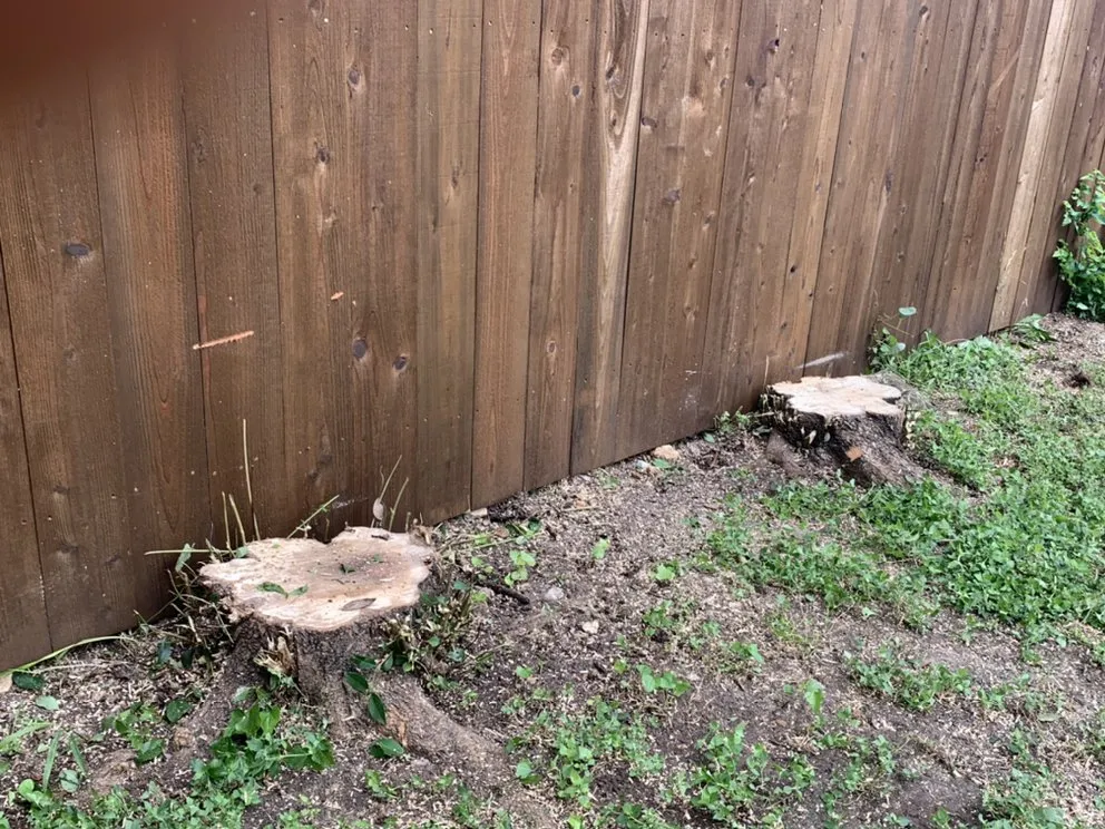 Affordable landscaping services with custom design in Early, TX by War Horse Lawn Service