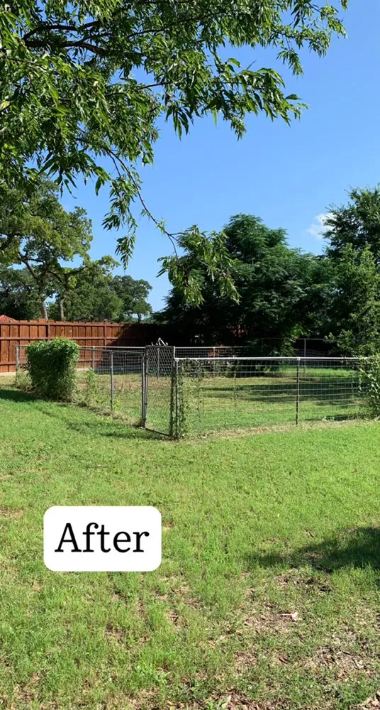 Top-rated yard maintenance for homes across Early, TX - War Horse Lawn Service