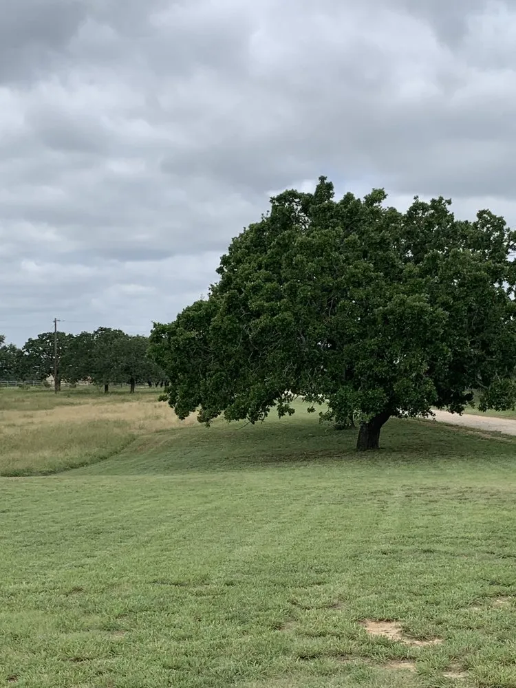 Professional residential landscaping for residential properties across Early, TX - War Horse Lawn Service