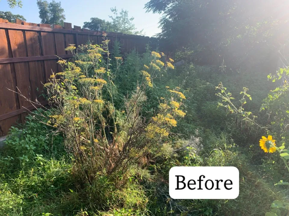 Trusted lawn mowing service for homes across Early, TX - War Horse Lawn Service