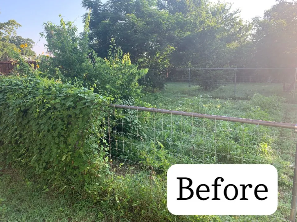 Top-rated lawn mowing service for residential properties in Early, TX by War Horse Lawn Service