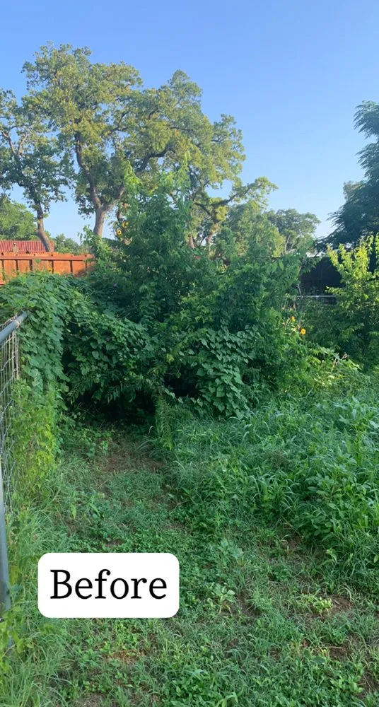 Expert yard maintenance in Early, TX - War Horse Lawn Service