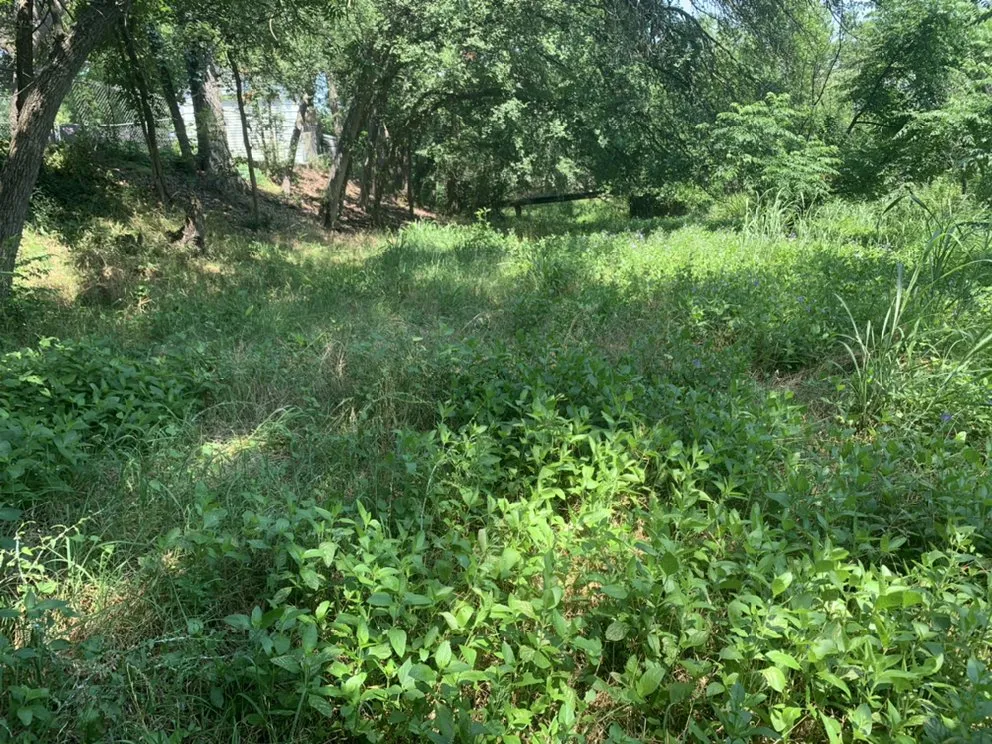 Custom residential landscaping for residential properties in Early, TX by War Horse Lawn Service