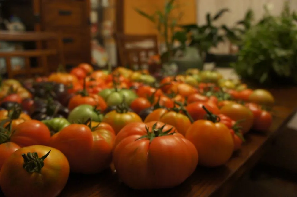 Local lawn mowing service in Danville, CA by Waratuke Nursery and Gardening Services