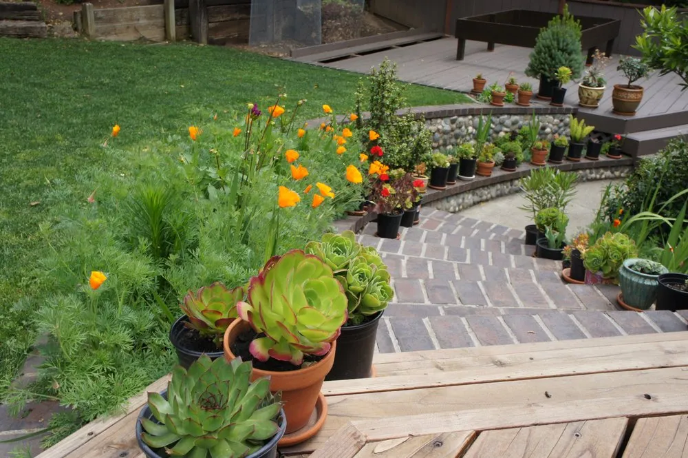 Local landscaping services near you across Danville, CA - Waratuke Nursery and Gardening Services