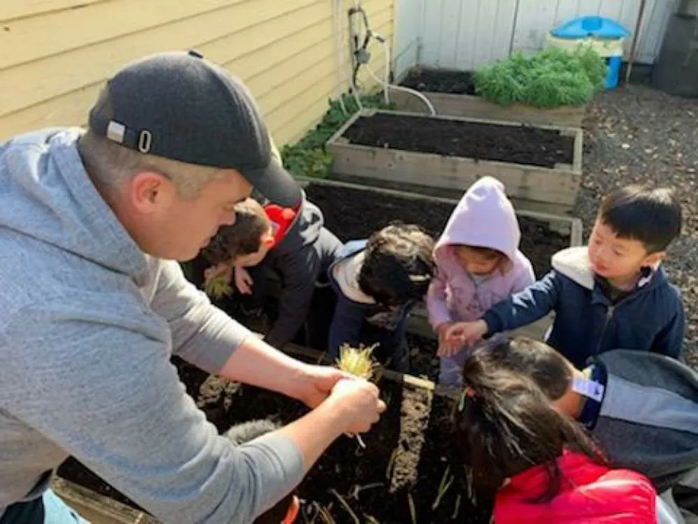 Top-rated landscape design in Danville, CA by Waratuke Nursery and Gardening Services