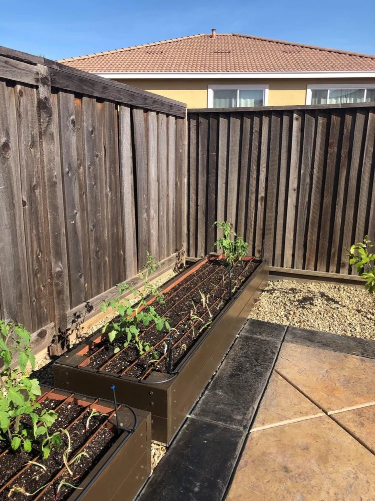 Reliable landscaping services experts serving Danville, CA - Waratuke Nursery and Gardening Services