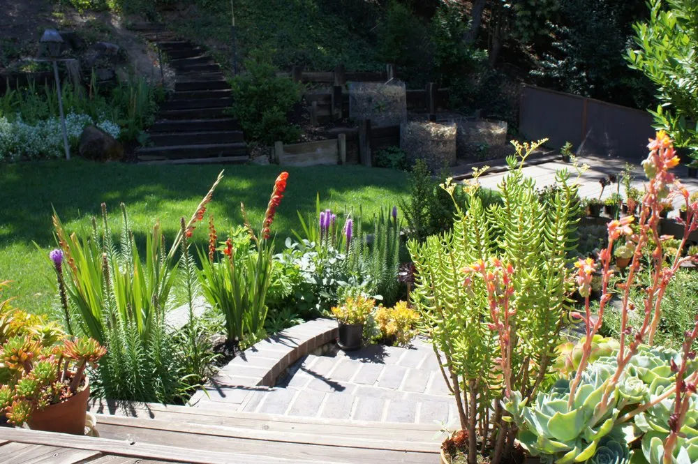 Expert garden landscaping in Danville, CA by Waratuke Nursery and Gardening Services