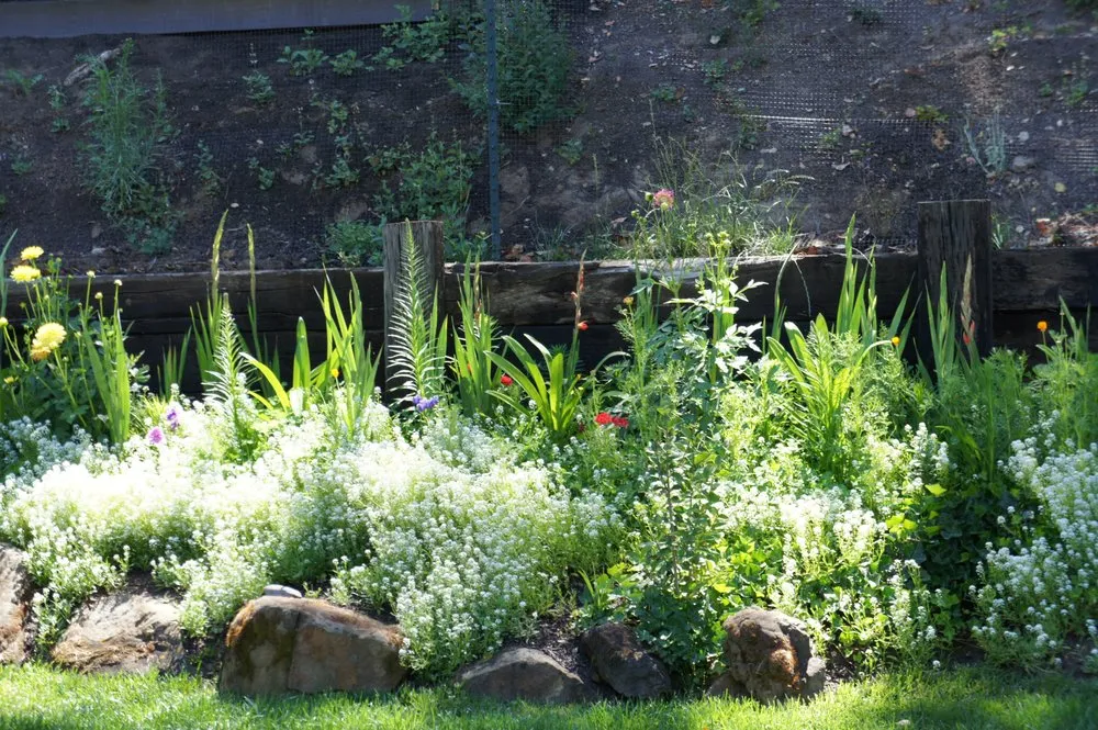 Affordable landscape design for homes across Danville, CA - Waratuke Nursery and Gardening Services