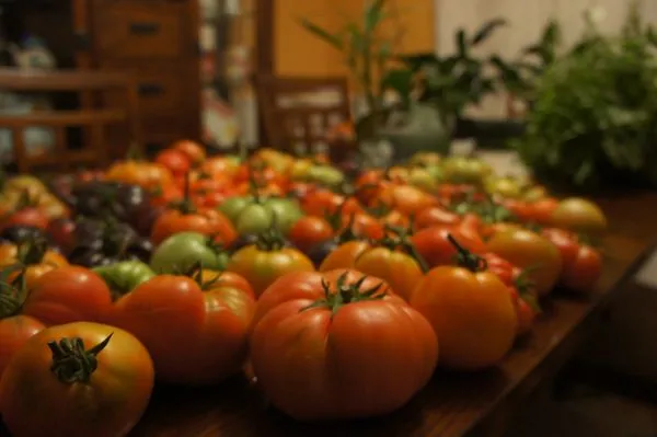 Waratuke Nursery and Gardening Services