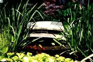 Affordable landscape installation experts serving Kansas City, MO - Wardrip Landscaping