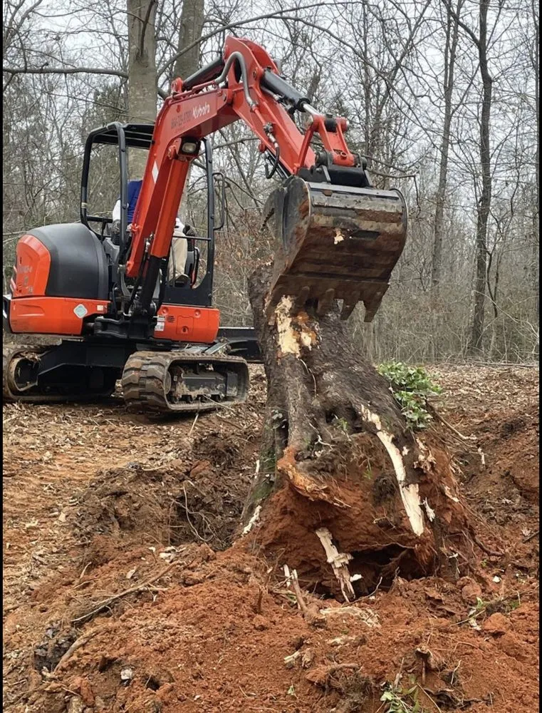 Top-rated landscape design near you in Easley, SC by Wards Grading and Hauling