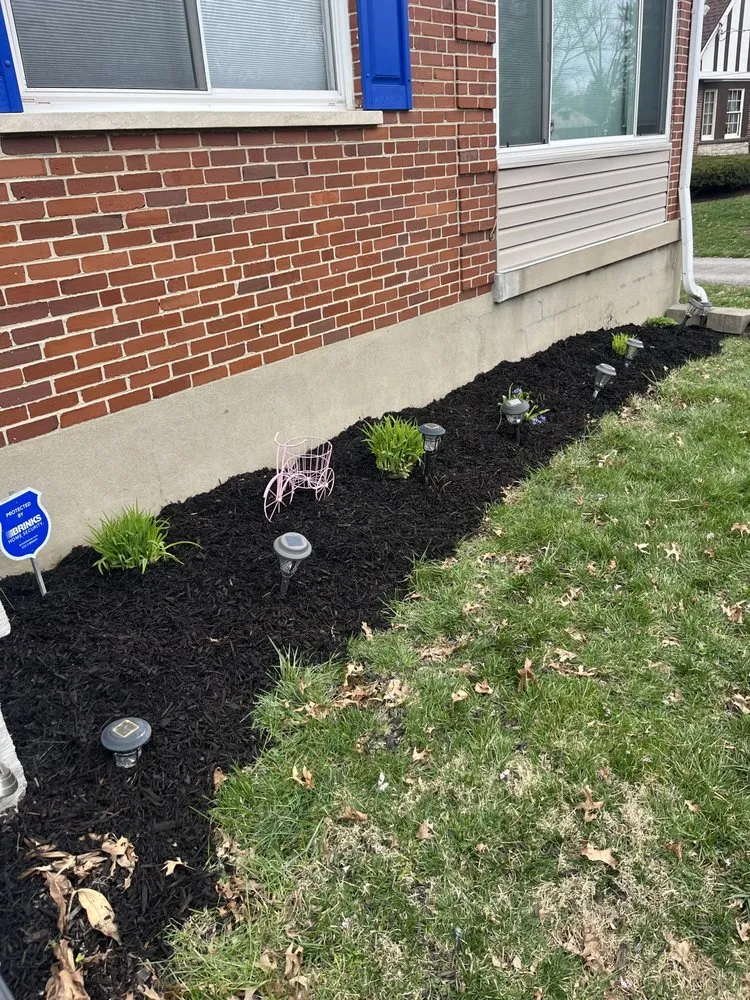 Expert lawn care service for year-round maintenance in Cincinnati, OH by Wards Lawn & Landscaping