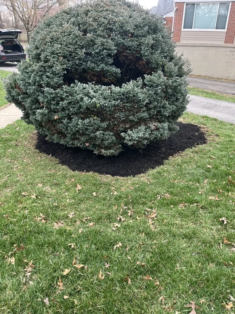 Custom landscape design for outdoor upgrades in Cincinnati, OH by Wards Lawn & Landscaping