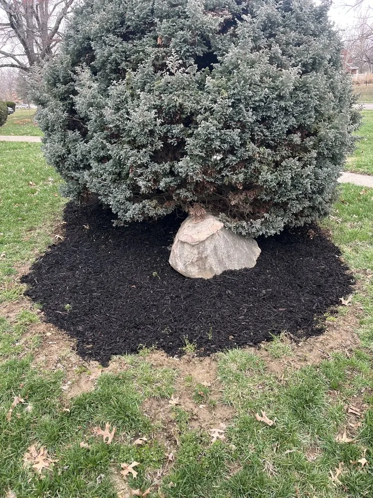 Local yard cleanup service in Cincinnati, OH - Wards Lawn & Landscaping