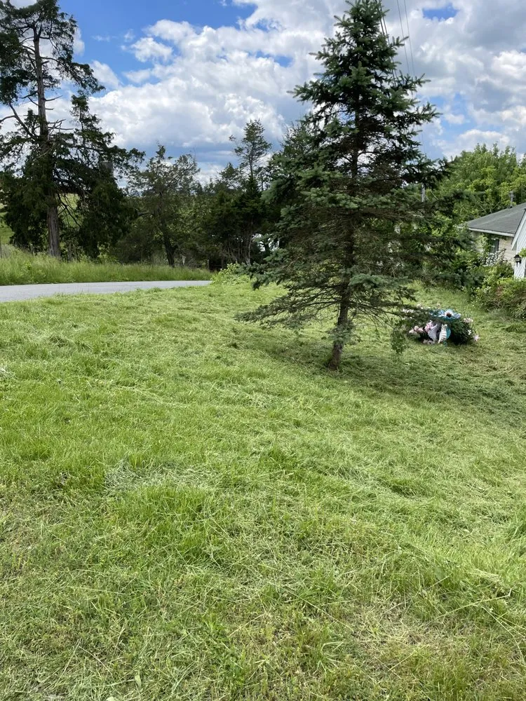 Reliable lawn care service for outdoor upgrades in Bristol, TN by Wards Lawn Care