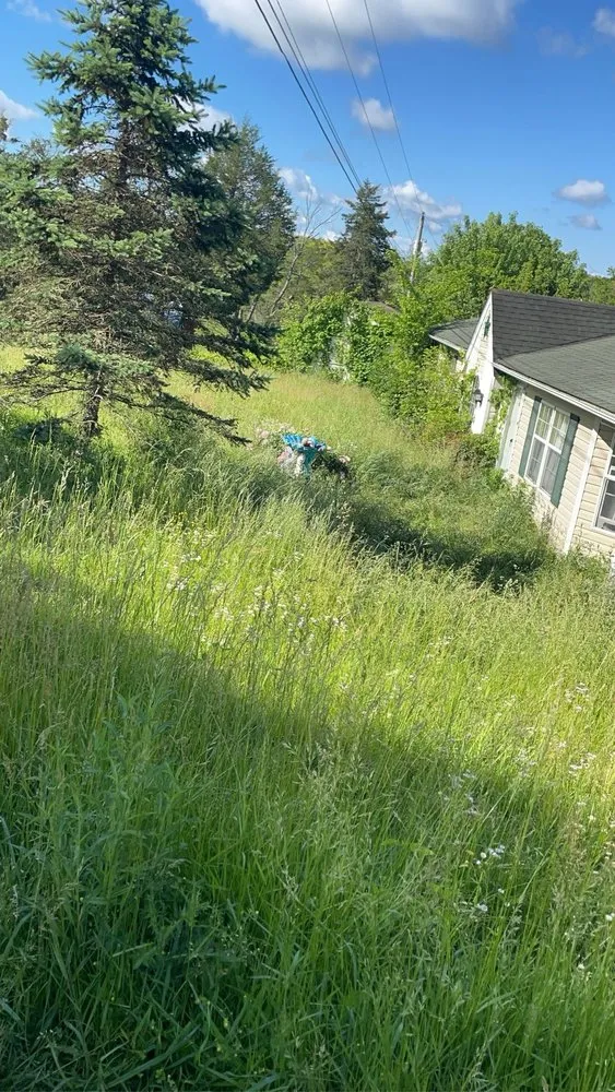 Professional residential landscaping for residential properties in Bristol, TN by Wards Lawn Care