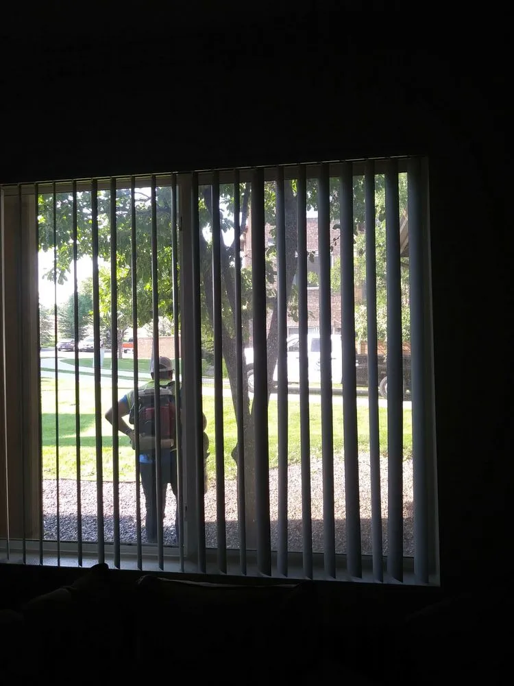 Professional yard maintenance for residential properties across Longmont, CO - Ward's Lawn Service