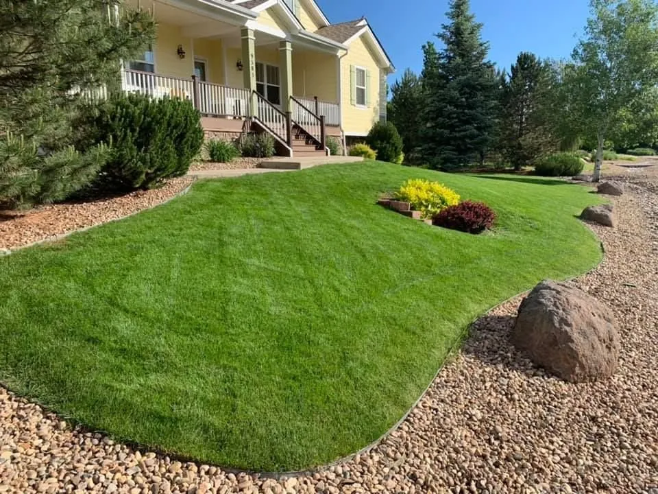 Affordable yard cleanup service in Longmont, CO by Ward's Lawn Service