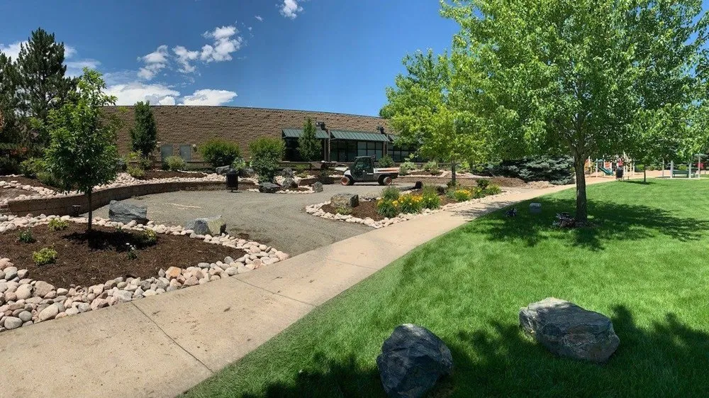 Affordable yard cleanup service for beautiful yards in Longmont, CO by Ward's Lawn Service
